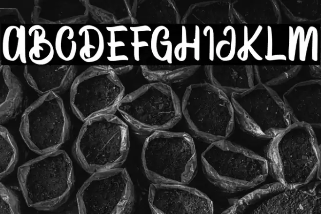 VectorType Font examples