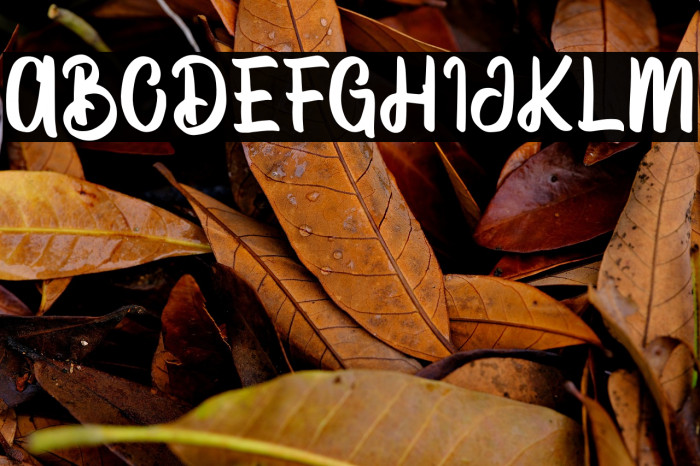 VectorType Example 3