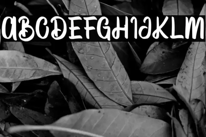 VectorType Font examples