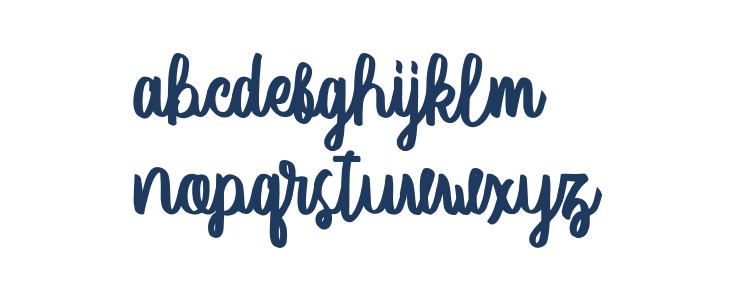 VectorType Lowercase