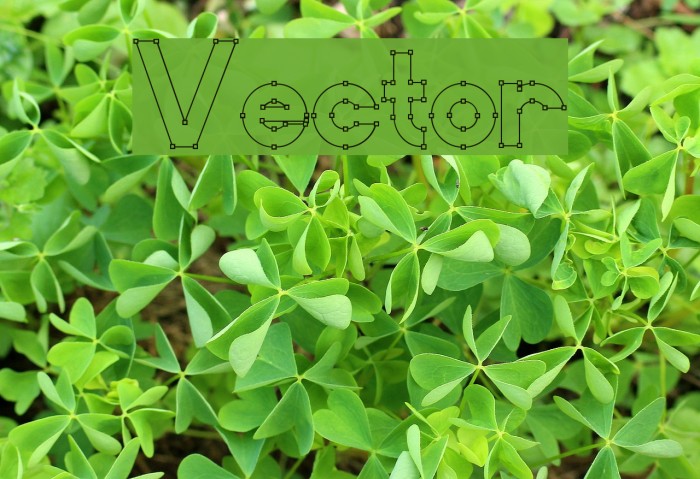 Vector Font examples