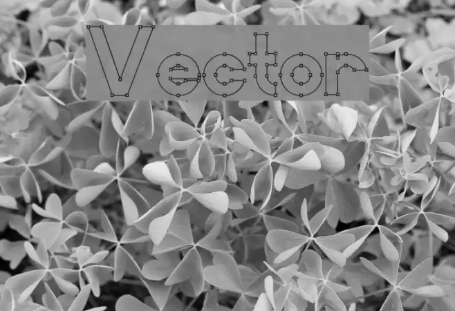Vector Polices examples