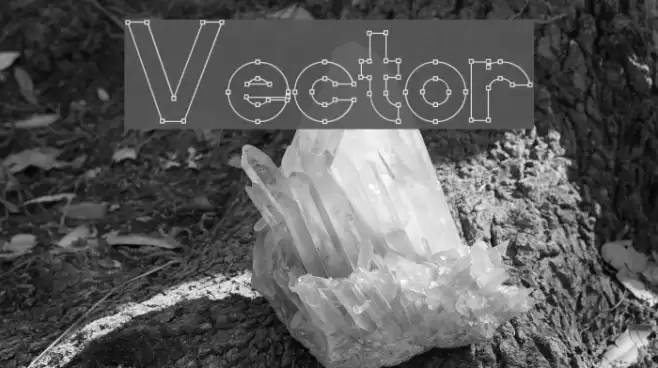 Vector Polices examples