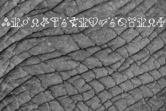 VectorizedSignets Font examples