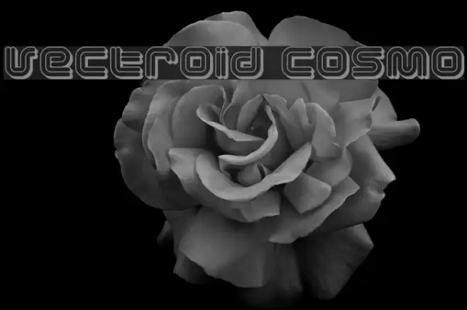 Vectroid Cosmo Font examples