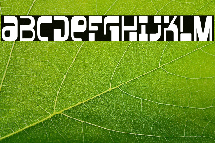 Vectroid-Regular Example 2