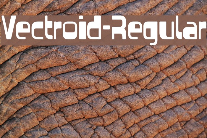 Vectroid-Regular Font examples