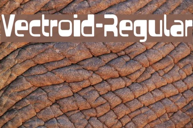 Vectroid-Regular Example 1