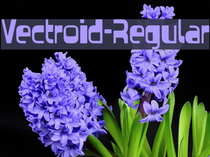Vectroid-Regular Font examples