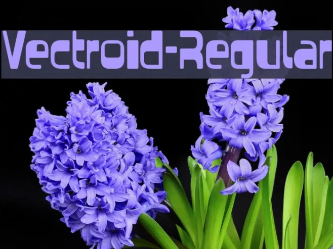Vectroid-Regular Example 3