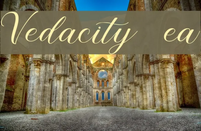 Vedacity DEMO Regular Example 1