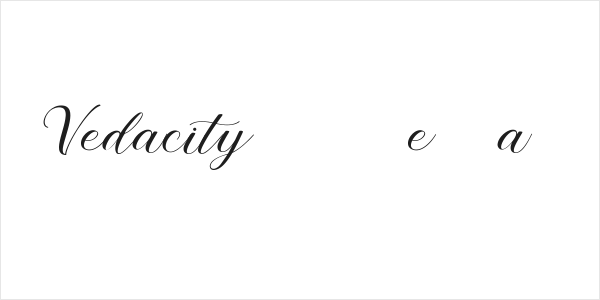 Vedacity DEMO Regular Logo