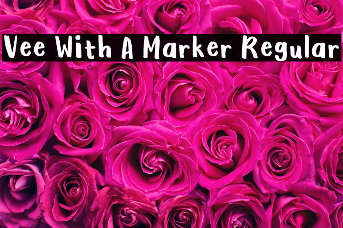 Vee With A Marker Regular Example 1