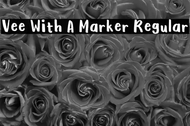 Vee With A Marker Regular Font examples