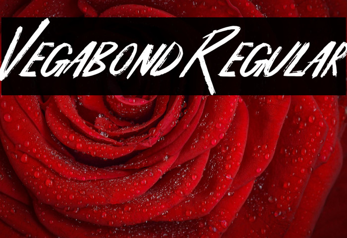 Vegabond Regular Example 1