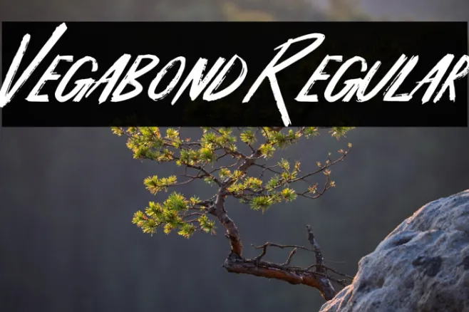 Vegabond Regular Example 2