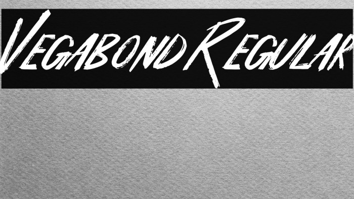 Vegabond Regular Example 3