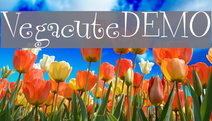 VegacuteDEMO لخطوط تنزيل examples