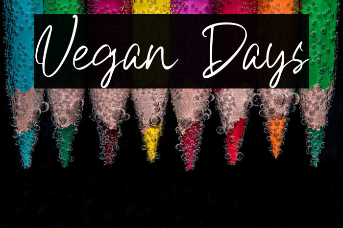 Vegan Days Example 1