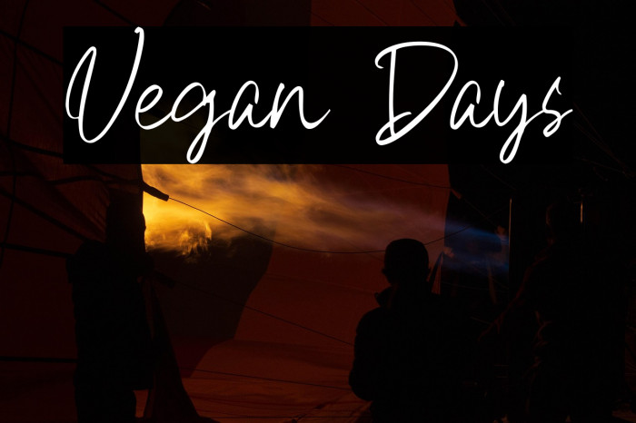 Vegan Days Example 2
