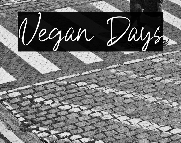 Vegan Days Example 3