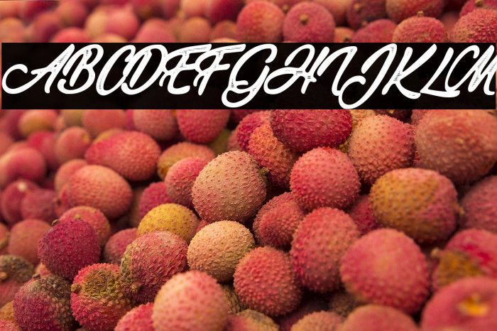 Vegan Trip Personal Use Regular Example 3