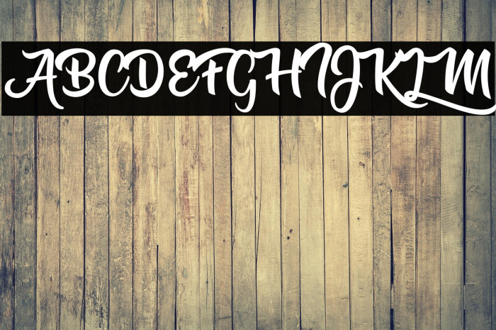 Vegan Yummy Personal Use Regular Example 1