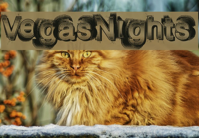 VegasNights Font examples