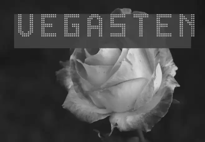 VegasTEN Font examples