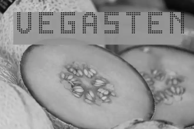 VegasTEN Font examples