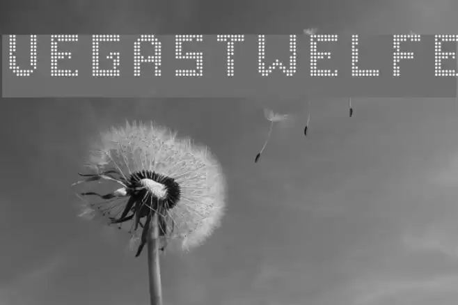 VegasTWELFE Font examples