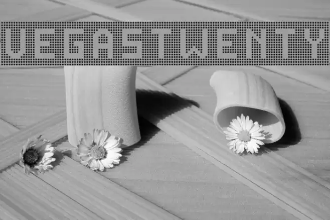 VegasTWENTY Font examples