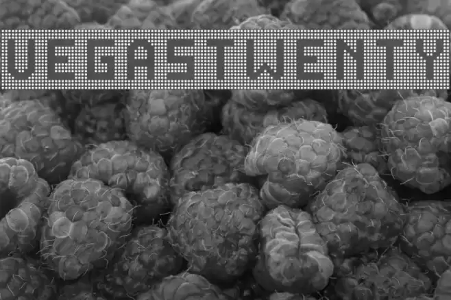 VegasTWENTY Font examples