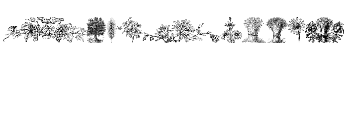 Vegetable Breathe Free Font OTHER CHARS