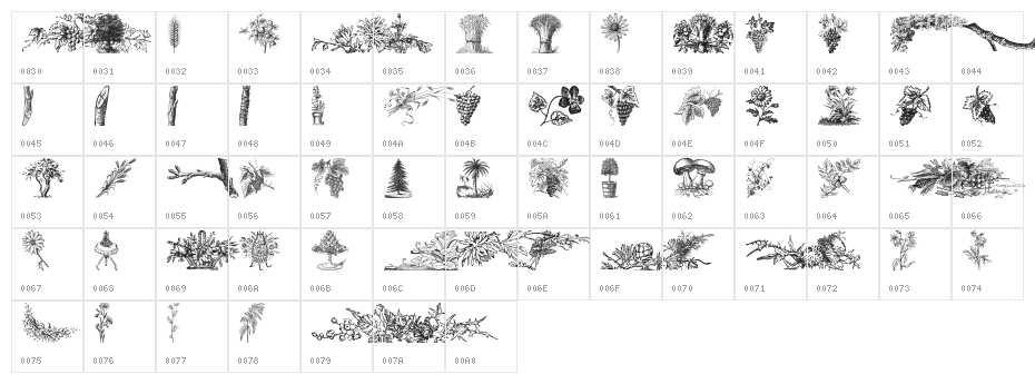 Vegetable Breathe Free Character Map
