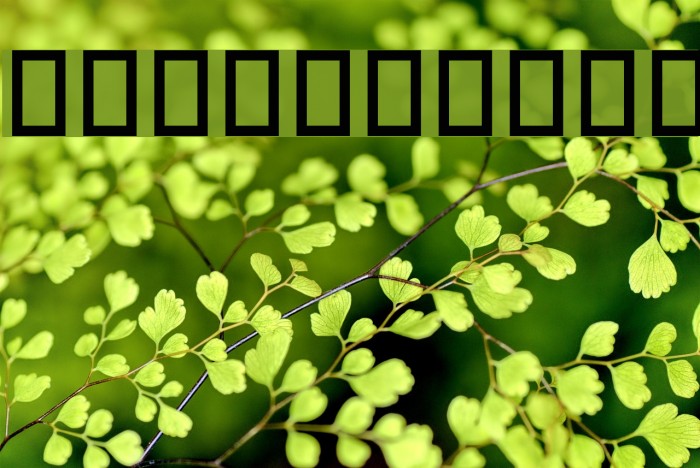 Vegetables Font examples