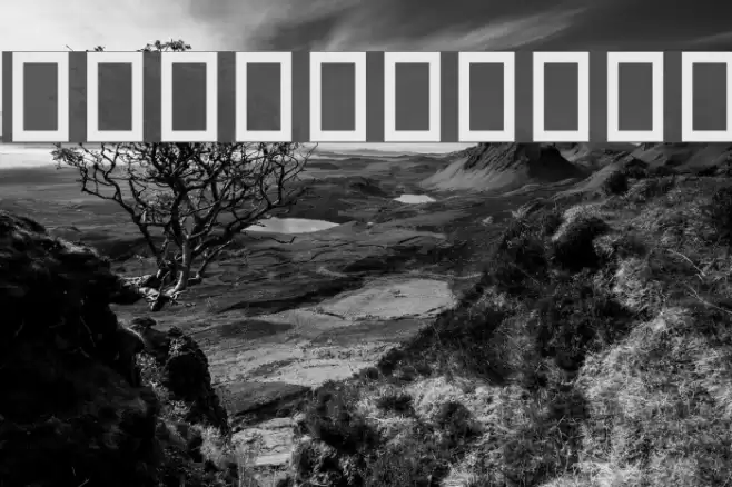 Vegetables Font examples