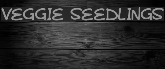 Veggie Seedlings Font examples