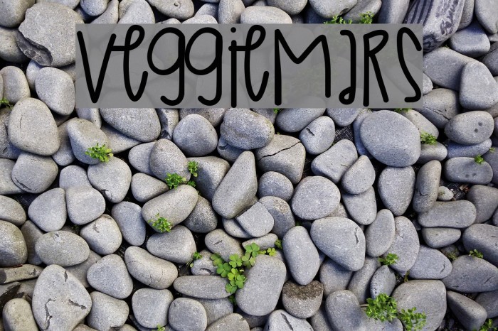 VeggieMars Font examples