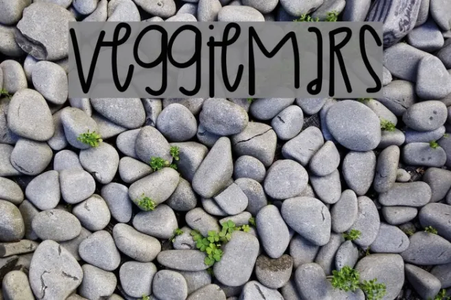 VeggieMars Example 3