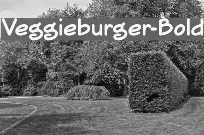 Veggieburger-Bold Font examples
