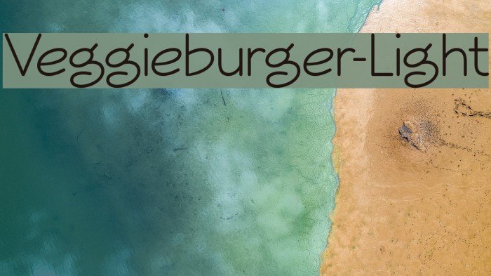 Veggieburger-Light Font examples