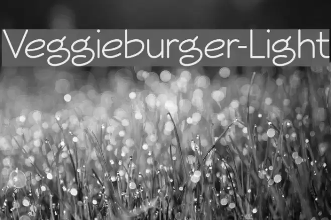 Veggieburger-Light Font examples