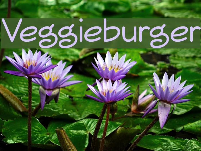 Veggieburger フォント examples