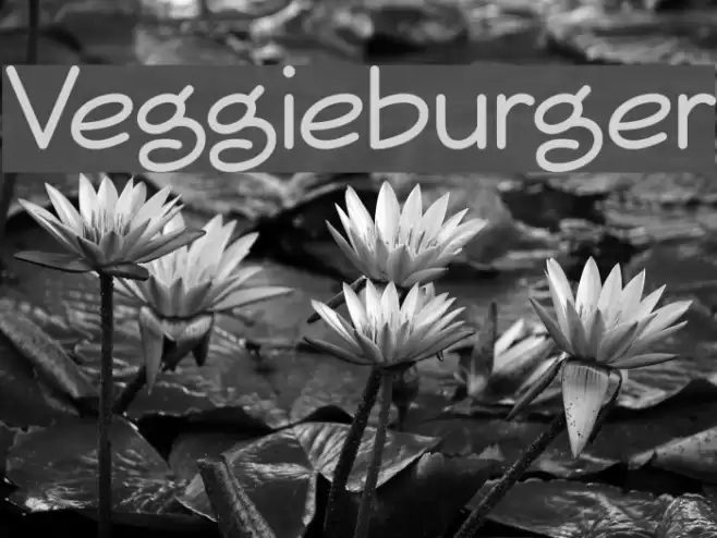 Veggieburger Font examples