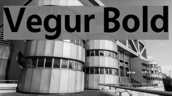 Vegur Bold Font examples
