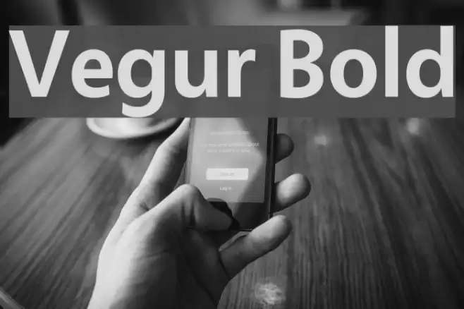 Vegur Bold Font examples