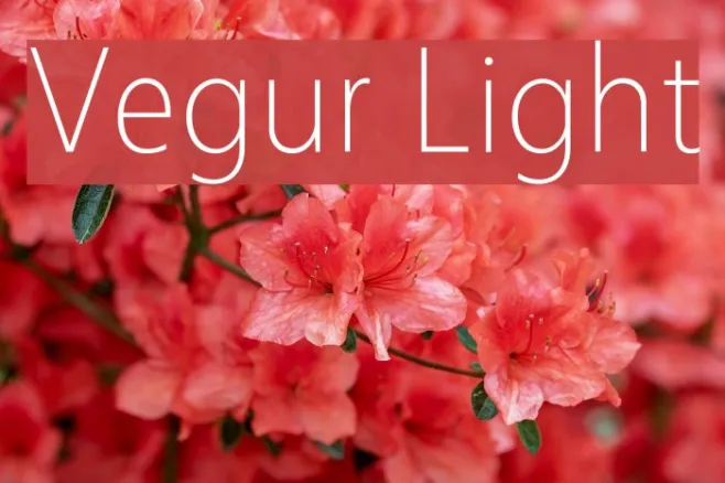 Vegur Light Example 1