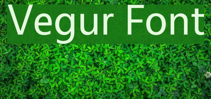 Vegur Font examples