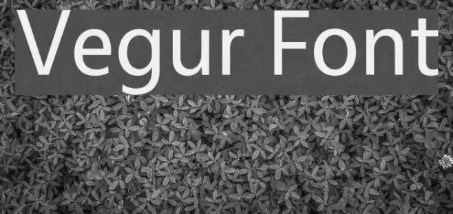 Vegur Schriftart examples